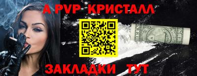 молекула духа Кингисепп