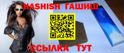 молекула духа Кингисепп