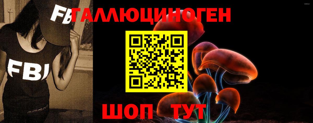 Псилоцибиновые грибы прущие грибы  Вход с VPN  Зеленогорск 