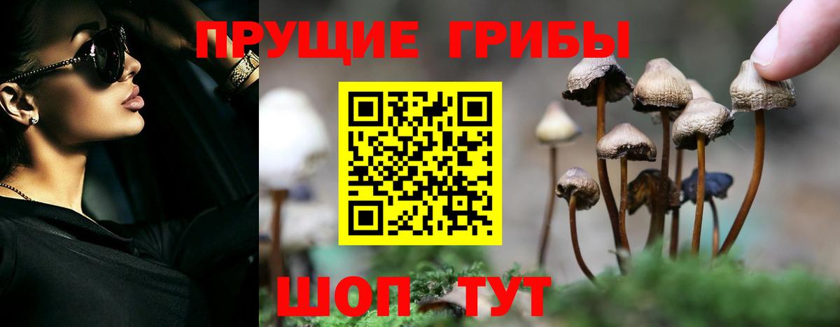 Галлюциногенные грибы мухоморы Зеленогорск